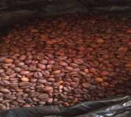 kopi kakong