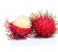 Rambutan 